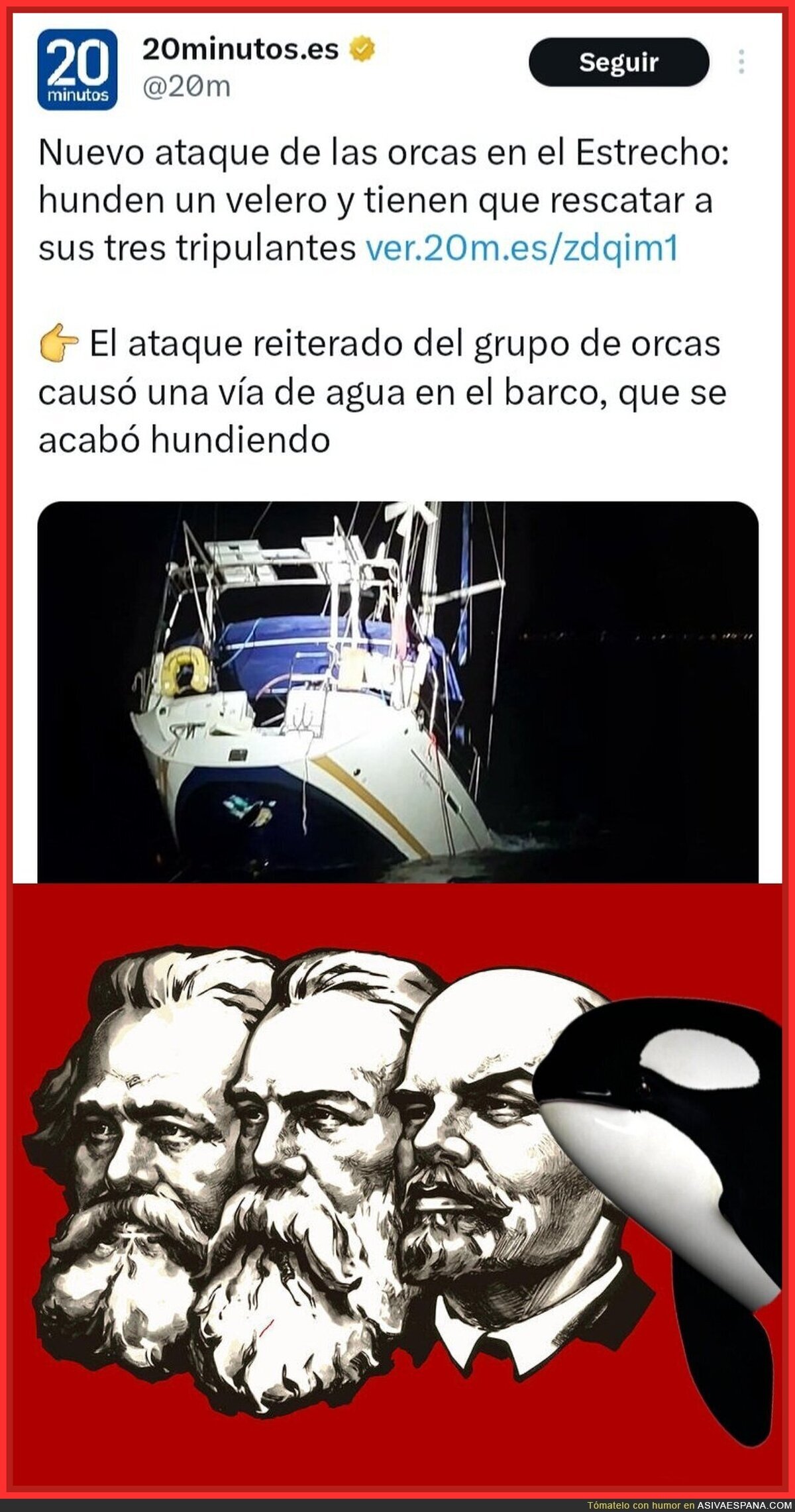 Las orcas están en el lado bueno de la historia