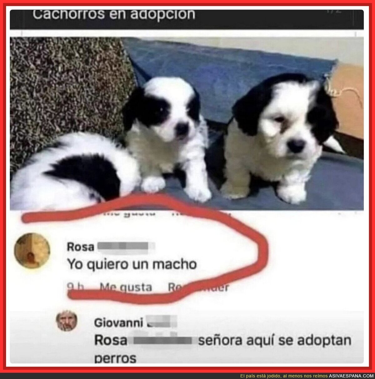 Pequeña confusión