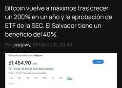 Por lo que sea, los criptotontos llevan seis meses calladitos