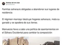 Esto hace Marruecos a los saharauis