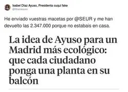 La gran idea de Ayuso