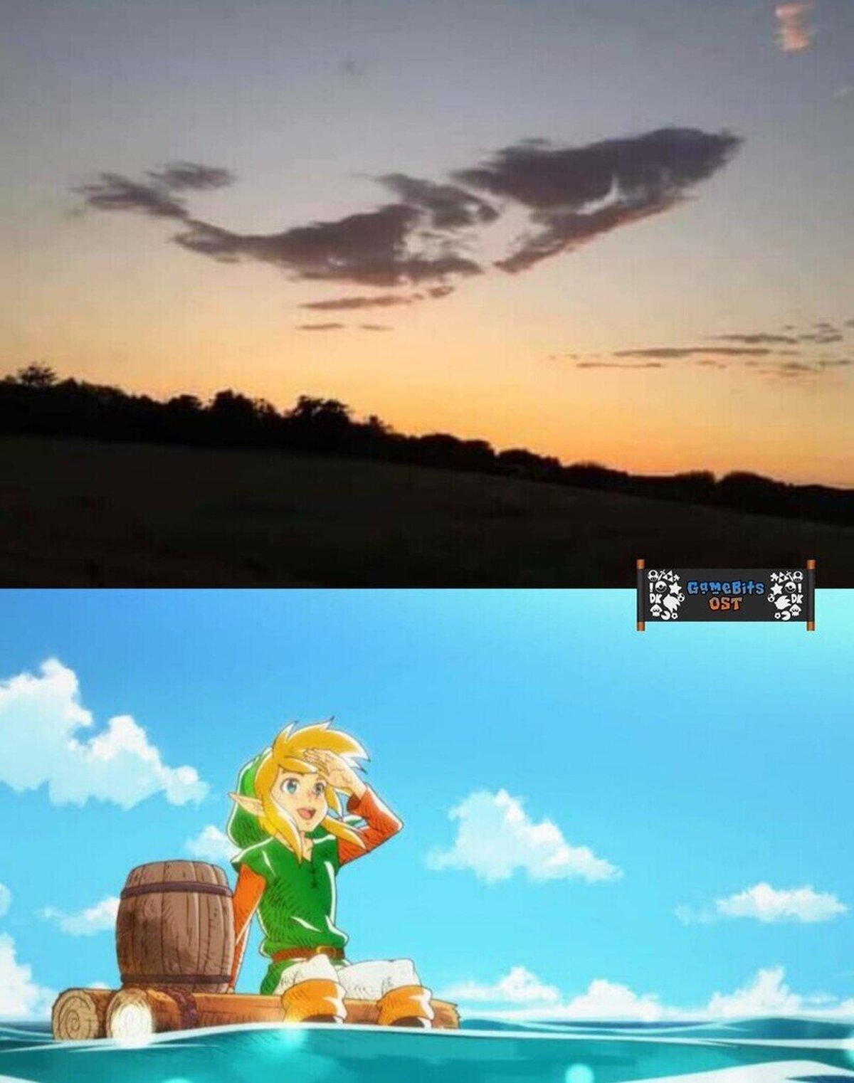 La ballena es real