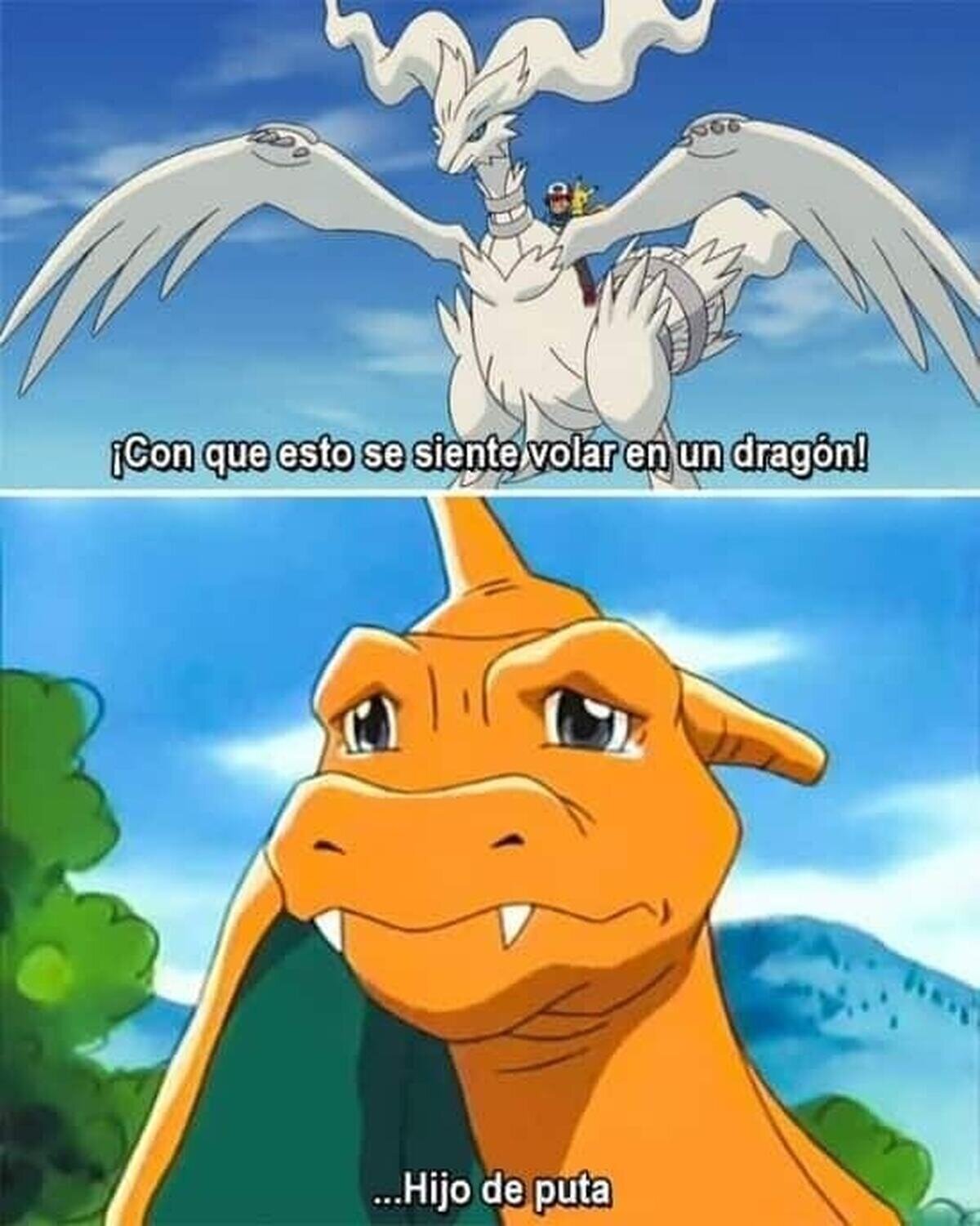 Pobre Charizard