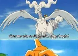 Pobre Charizard