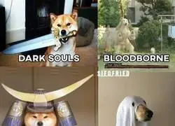 Doge Souls