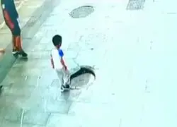 Vámonos al infierno todos de la mano