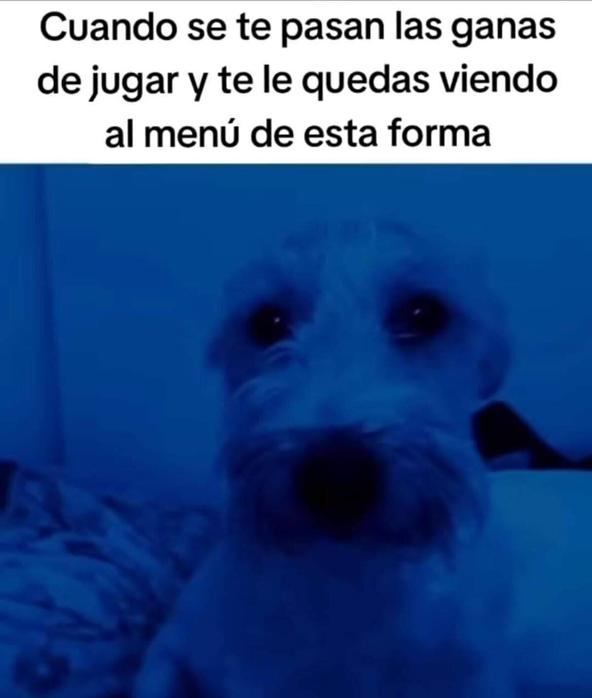 ¿A qué venía?