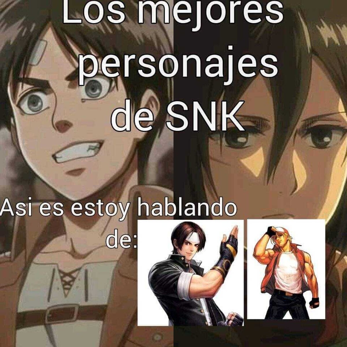 El verdadero SNK