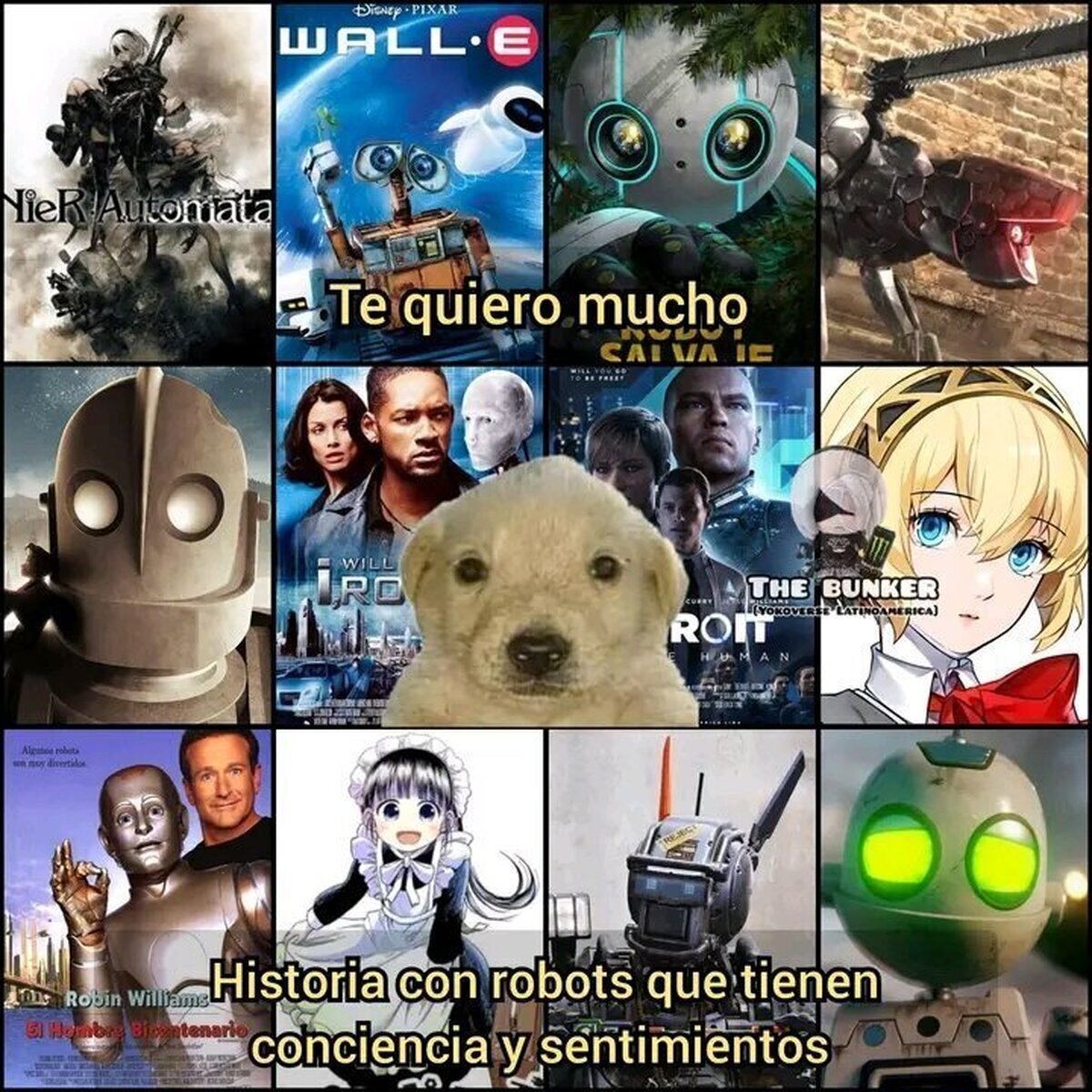 Robots con sentimientos