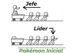Como debe ser