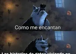 Los gatos post-apocalípticos