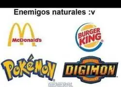 Los enemigos naturales de Pokemon