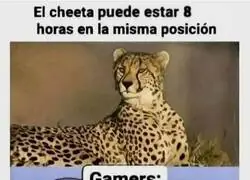 Suena como un reto
