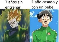 La nerfeada de Gohan es un crimen de lesa humanidad