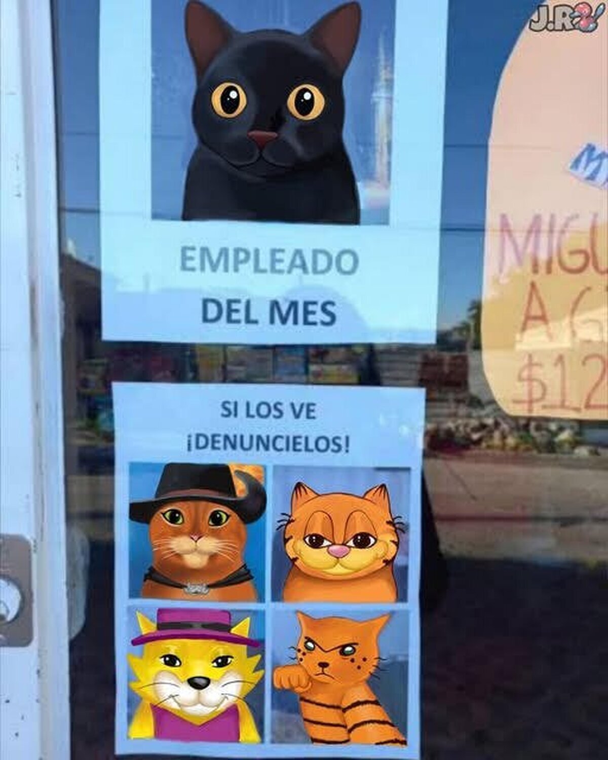 Gato naranja significa peligro