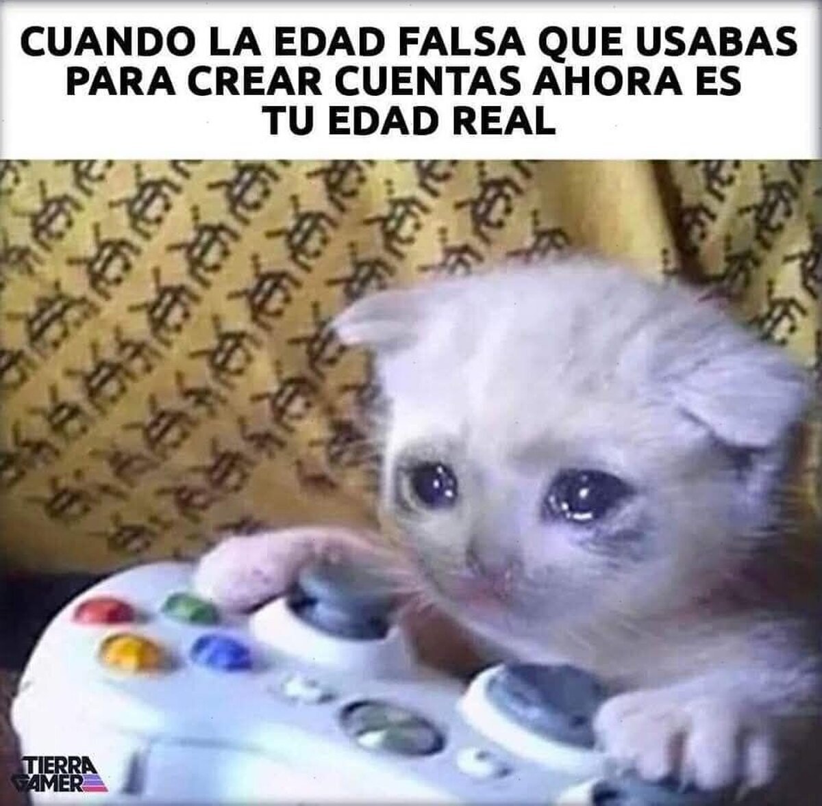 ¿En qué momento pasó?