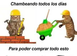 Un hobby caro