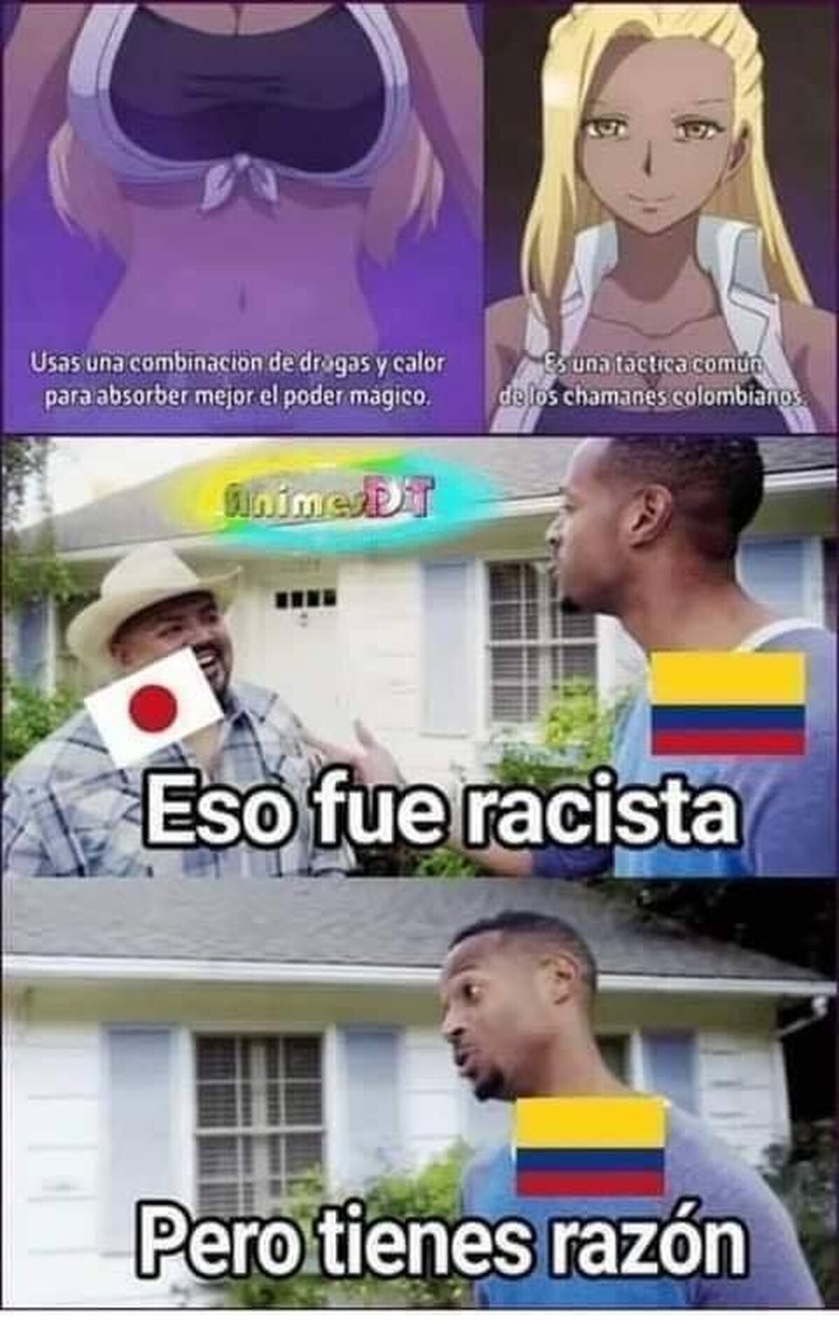 Los chamanes colombianos...