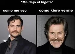 Un bigote de señor