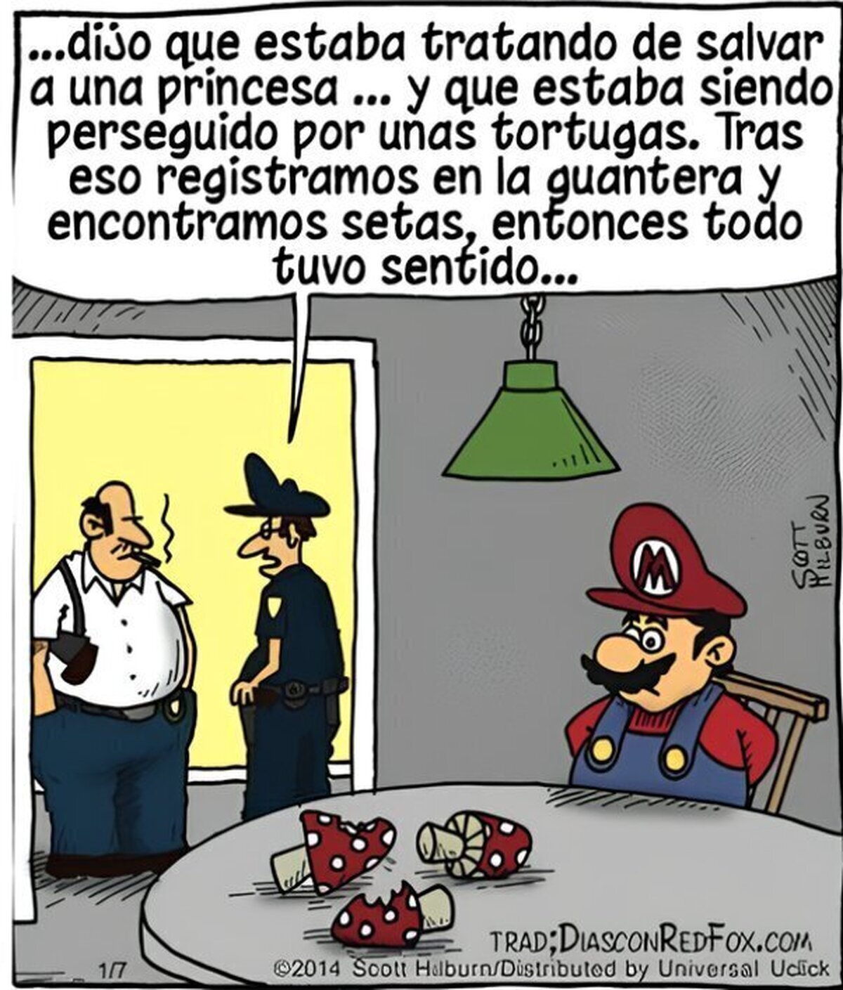 La verdad sobre los hongos