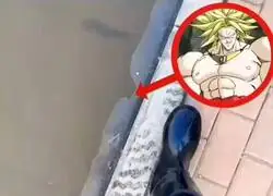 Me sentí como Broly