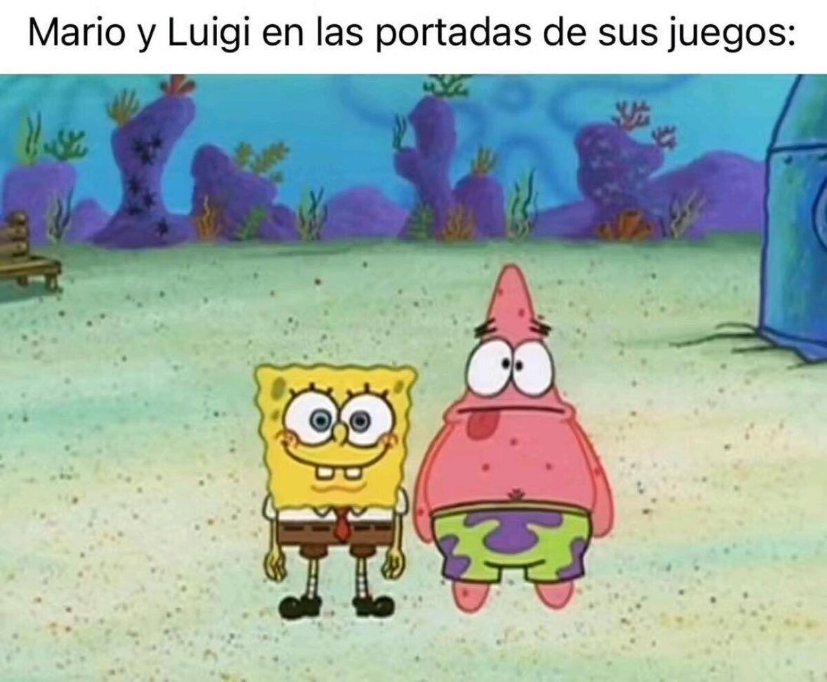 Siempre se ven monos