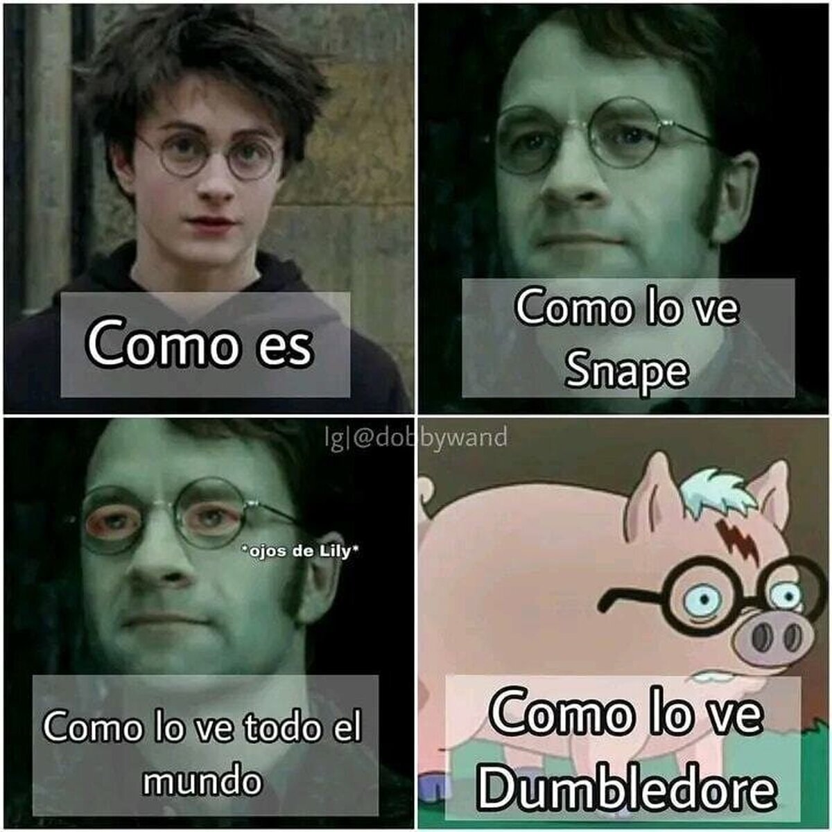 Como un cerdo para el matadero