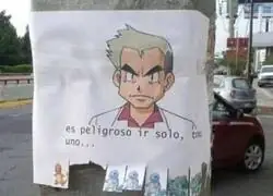 Curioso como la mayoría elige a Charmander