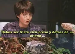 Es una pérdida total de tiempo
