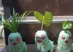 Necesito estas macetas