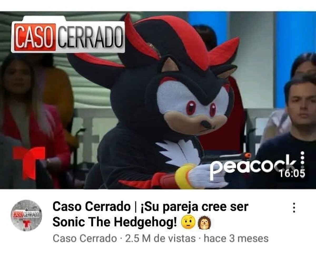 Ese es Shadow, idiota