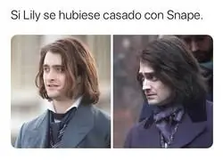 No habría sido mala elección