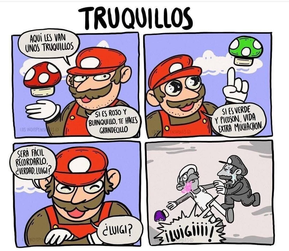 Nunca había visto esa seta