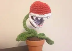 Por fín una planta que no se marchita