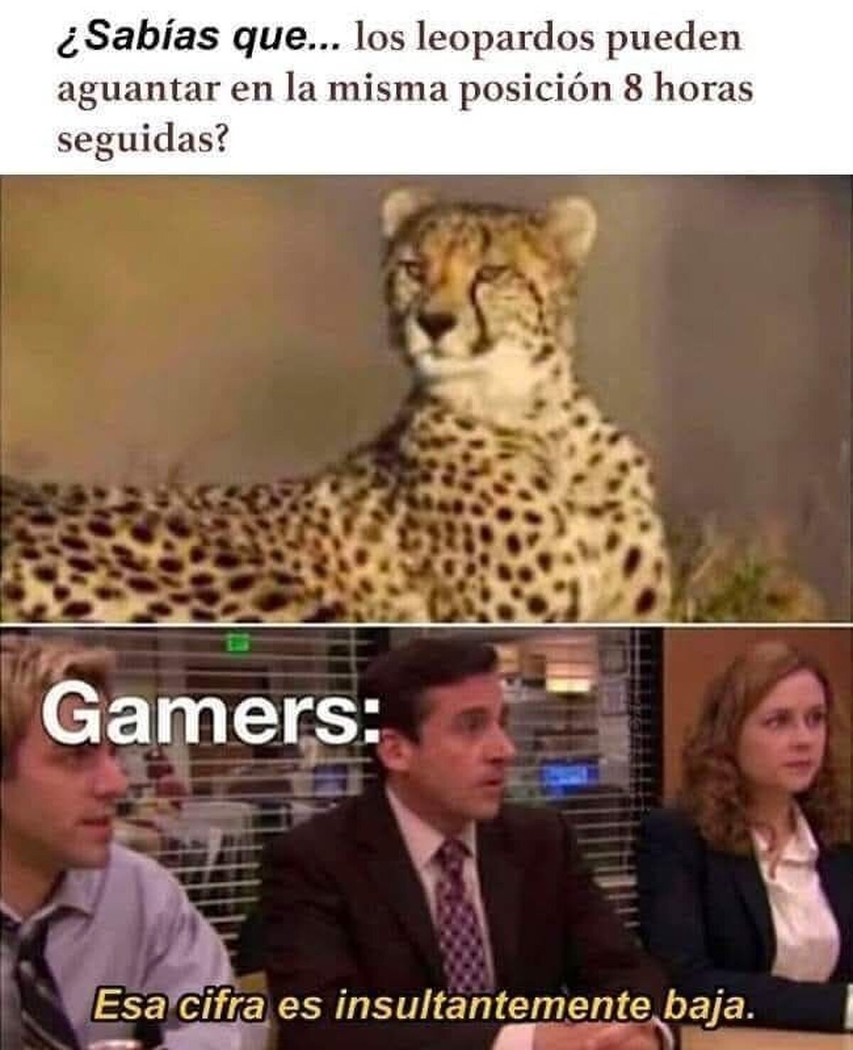 Suena como un reto a batir