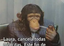 Semana de reflexión