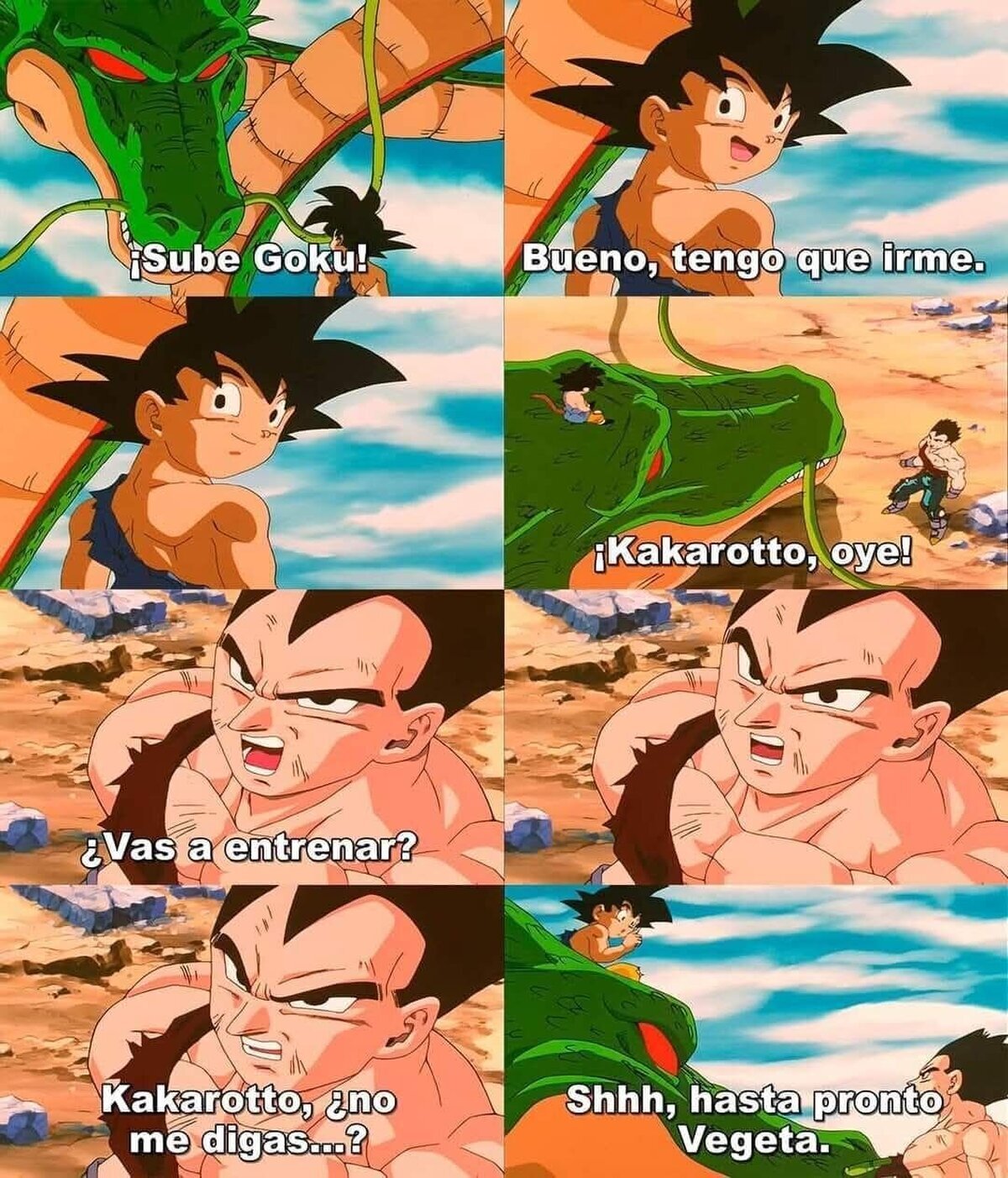 ¿A donde fue Goku?
