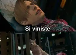 Que perro más fiel