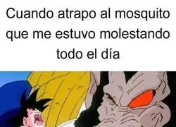 La venganza será dulce