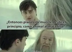 Cada día más canon el Puerco-Potter