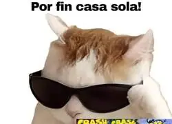 Una buena maratón de Crash