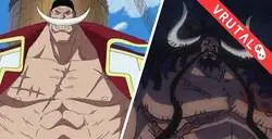 TEORÍA: ¿Por qué Barbablanca y Kaido nunca despertaron su fruto del diablo?