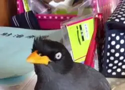Madre mia, es idéntico