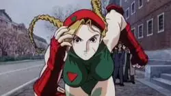 Como me hubiera gustado tener más de este anime de Street Fighters