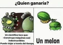 Apuesto todo al melón