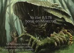 Ayuda de un experto