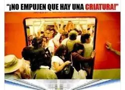 Y no es muy cariñosa..