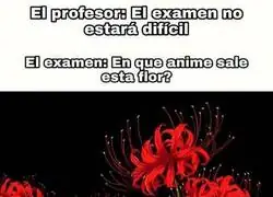 Ya enserio, que flores más bonitas