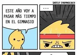 Mi propósito de este año
