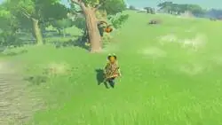 ¿Sabías que con una seta exhaladora puedes alejar a las abejas en Tears of the Kingdom?